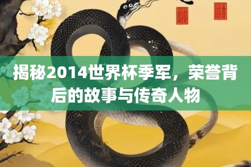 揭秘2014世界杯季军，荣誉背后的故事与传奇人物