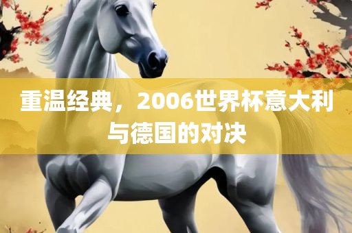 重温经典，2006世界杯意大利与德国的对决吉安市靖泰电力工程有限公司