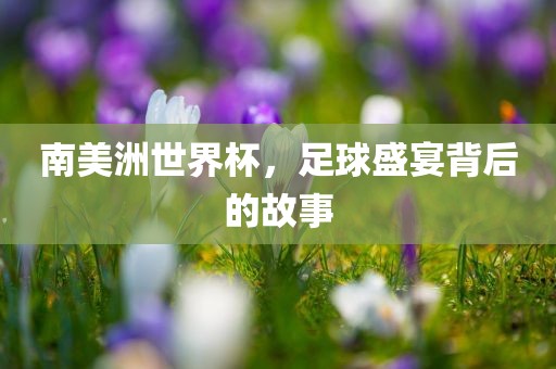南美洲世界杯，足球盛宴背后的故事