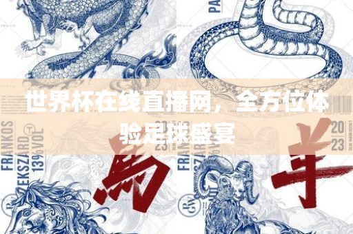 世界杯在线直播网，全方位体验足球盛宴