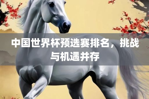 中国世界杯预选赛排名，挑战与机遇并存