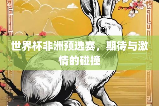 世界杯非洲预选赛，期待与激情的碰撞