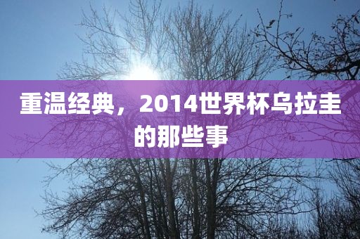 重温经典，2014世界杯乌拉圭的那些事