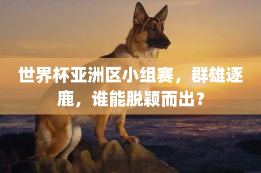 世界杯亚洲区小组赛，群雄逐鹿，谁能脱颖而出？