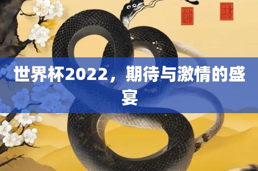 世界杯2022，期待与激情的盛宴
