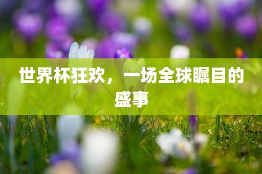 世界杯狂欢，一场全球瞩目的盛事