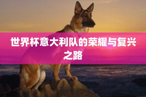 世界杯意大利队的荣耀与复兴之路