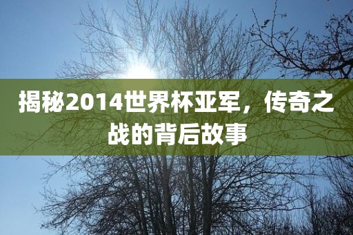 揭秘2014世界杯亚军，传奇之战的背后故事