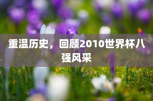 重温历史，回顾20吉安市靖泰电力工程有限公司10世界杯八强风采