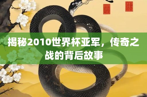揭秘2010世界杯亚军，传奇之战的背后故事吉安市靖泰电力工程有限公司