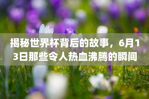 揭秘世界杯背后的故事，6月13日那些令人热血沸腾的瞬间