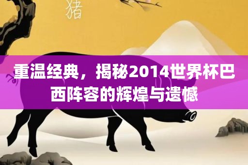 重温经典，揭秘2014世界杯巴西阵容的辉煌与遗憾