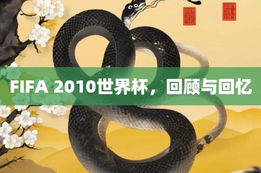 FIFA 2010世界杯，回顾与回忆