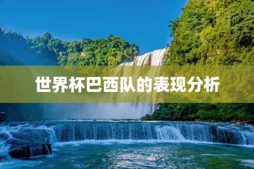世界杯巴西队的表现分析