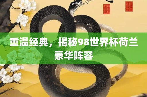 重温经典，揭秘98世界杯荷兰豪华阵容