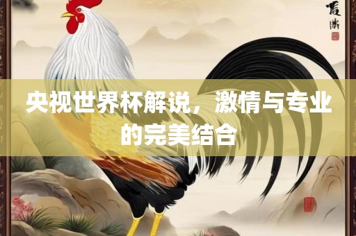 央视世界杯解说，激情与专业的完美结合