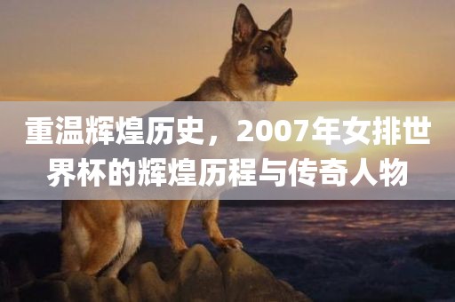 重温辉煌历史，2007年女排世界杯的辉煌历程与传奇人物