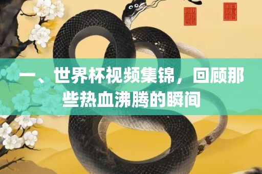 一、世界吉安市靖泰电力工程有限公司杯视频集锦，回顾那些热血沸腾的瞬间