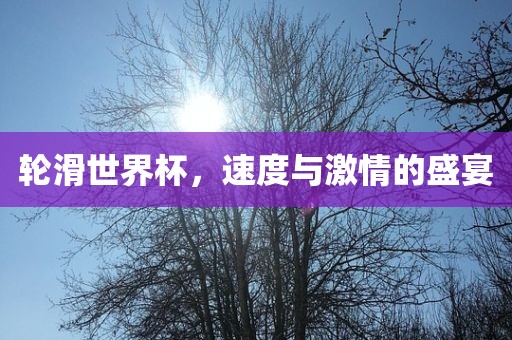 轮滑世界杯，速度与激情的盛宴