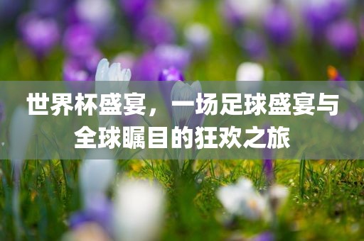 世界杯盛宴，一场足球盛宴与全球瞩目的狂欢之旅
