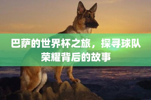 巴萨的世界杯之旅，探寻球队荣耀背后的故事吉安市靖泰电力工程有限公司