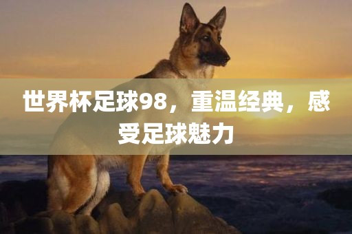 世界杯足球98，重温经典，感受足球魅力