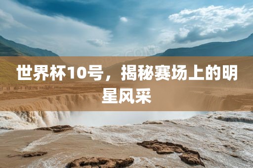 世界杯10号，揭秘赛场上的明星风采