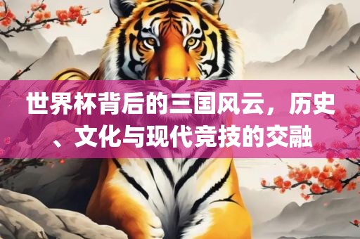 世界杯背后的三国风云吉安市靖泰电力工程有限公司，历史、文化与现代竞技的交融