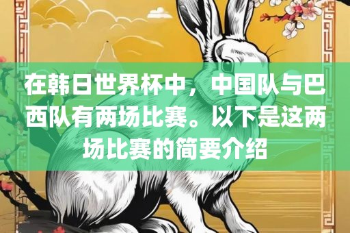 在韩日世界杯中，中国队与巴西队有两场比赛。以下是这两场比赛的简要介绍