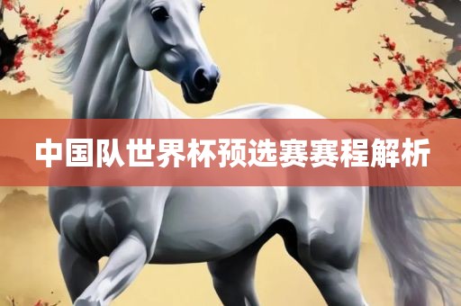 中国队世界杯预选赛赛程解析
