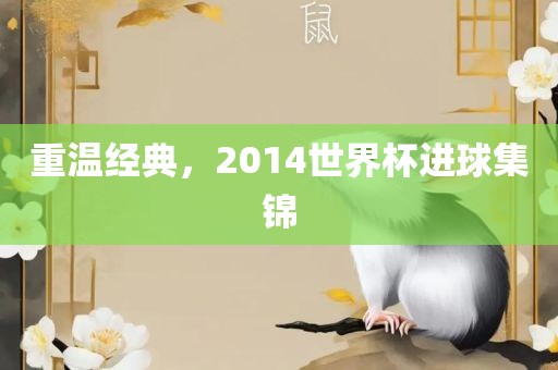 重温经典，2014世界杯进球集锦