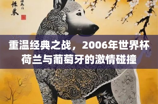 重温经典之战，2006年世界杯荷兰与葡萄牙的激情碰撞