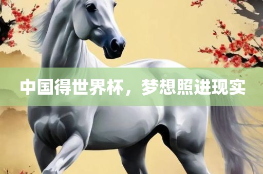 中国得世界杯，梦想照进现实吉安市靖泰电力工程有限公司