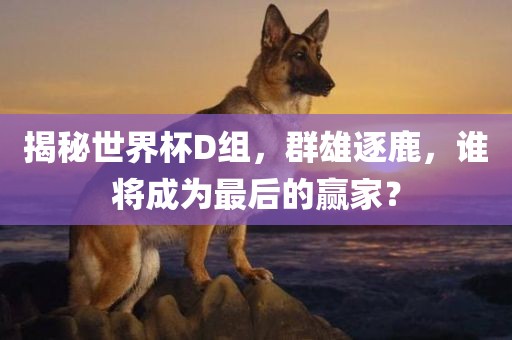 揭秘世界杯D组，群雄逐鹿，谁将成为最后的赢家？