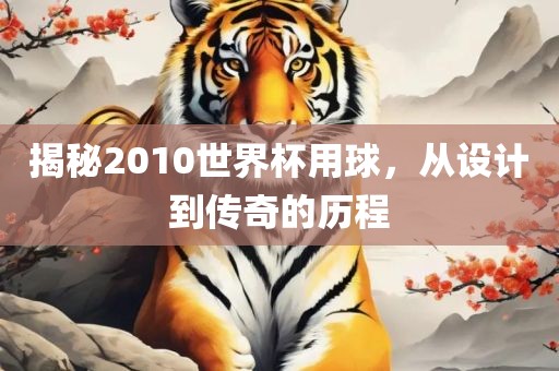 揭秘2010世界杯用球，从设计到传奇的历程