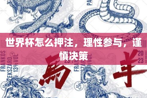 世界杯怎么押注，理性参与，谨慎决策