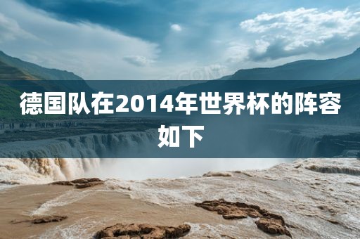 德国队在2014年世界杯的阵容如下