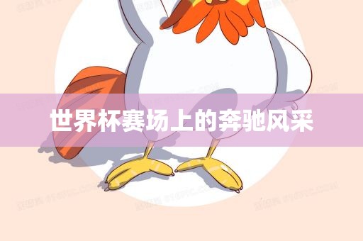 世界杯赛场上的奔驰风采
