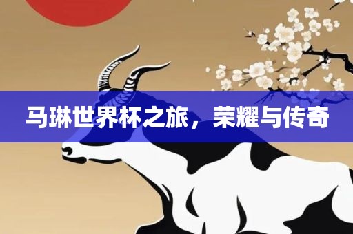 马琳世界杯之旅，荣耀与传奇