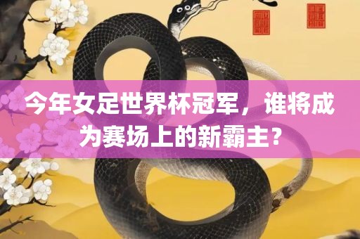 今年女足世界杯冠军，谁将成为赛场上的新霸吉安市靖泰电力工程有限公司主？