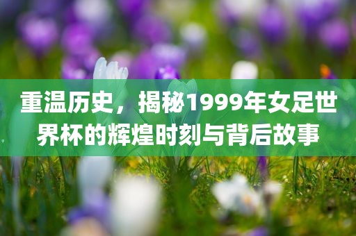 重温历史，揭秘1999年女足世界杯的辉煌时刻与背后故事吉安市靖泰电力工程有限公司