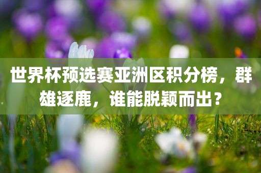 世界杯预选赛亚洲区积分榜，群雄逐鹿，谁能脱颖而出？