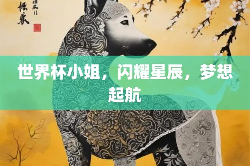 世界杯小姐，闪耀星辰，梦想起航