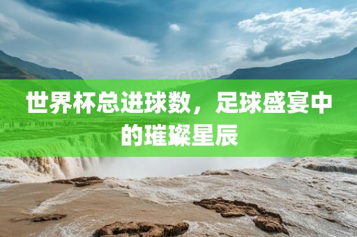 世界杯总进球数，足球盛宴中的璀璨星辰