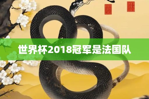 世界杯2018冠军是法国队