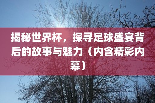 揭秘世界杯，探寻足球盛宴背后的故事与魅力（内含精彩内幕）吉安市靖泰电力工程有限公司