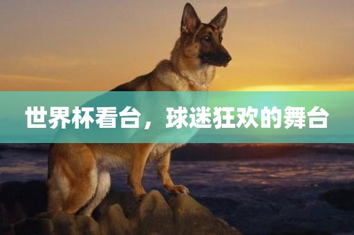 世界杯看台，球迷狂欢的舞台