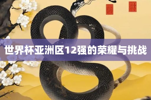 世界杯亚洲区12强的荣耀与挑战
