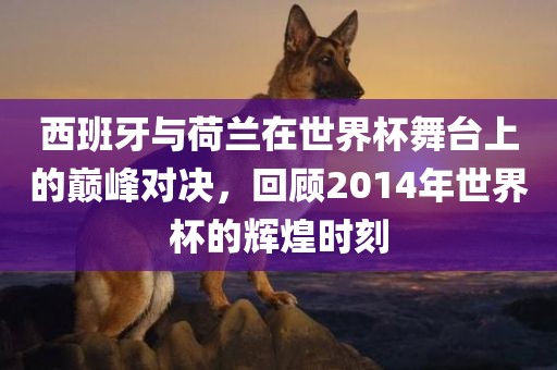 世界杯对决