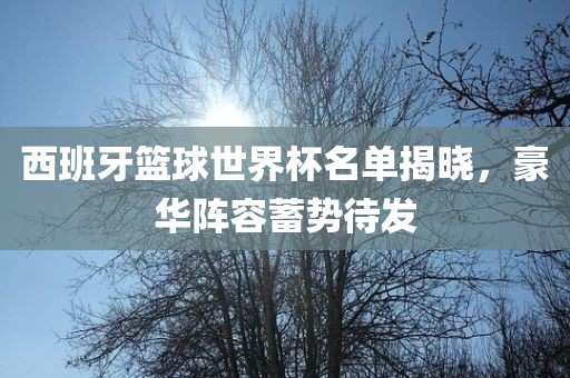 西班牙篮球世界杯名单揭晓，豪华阵容蓄势待发